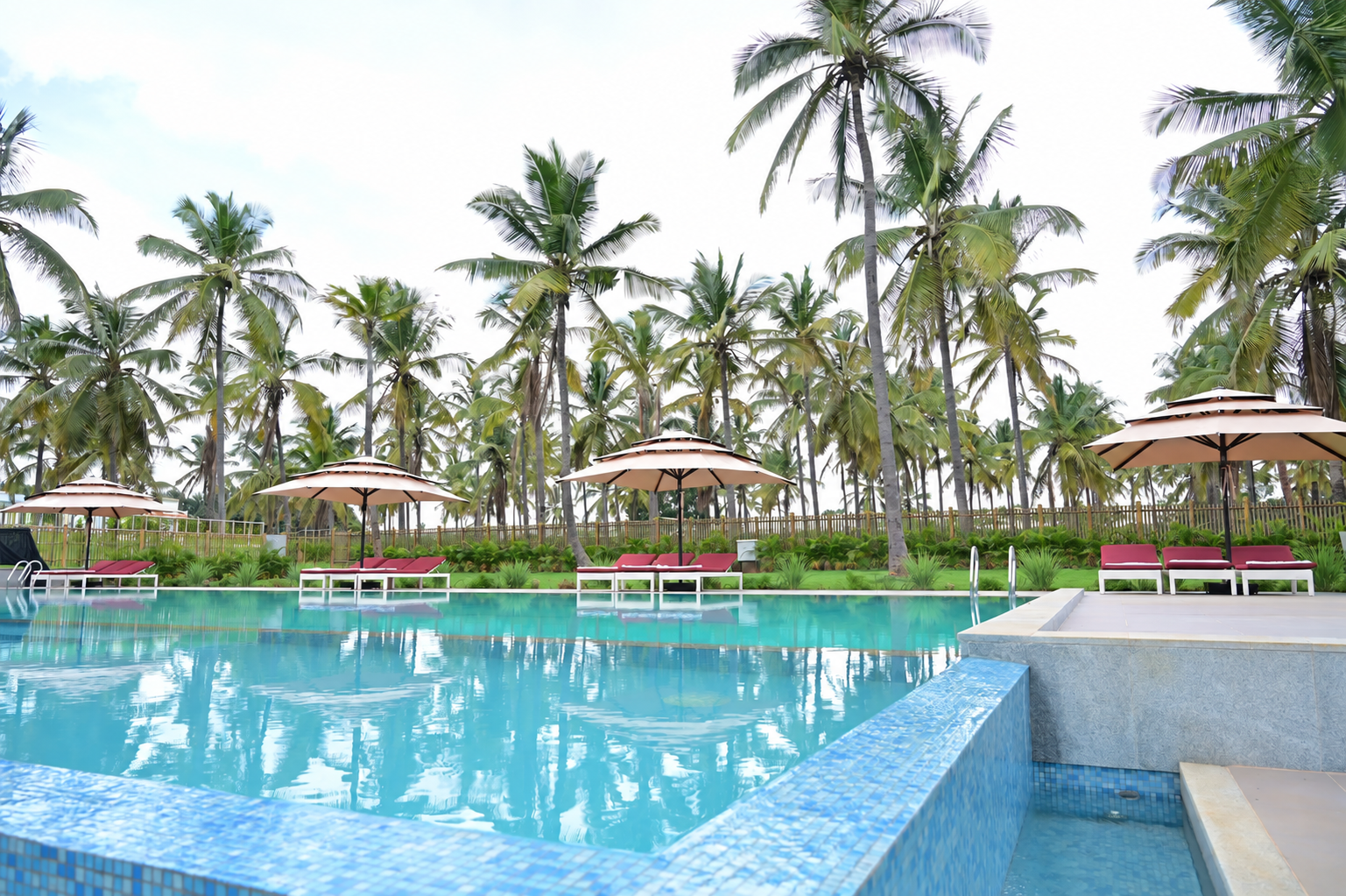The Coco Resort pool surrounded by coconut palms